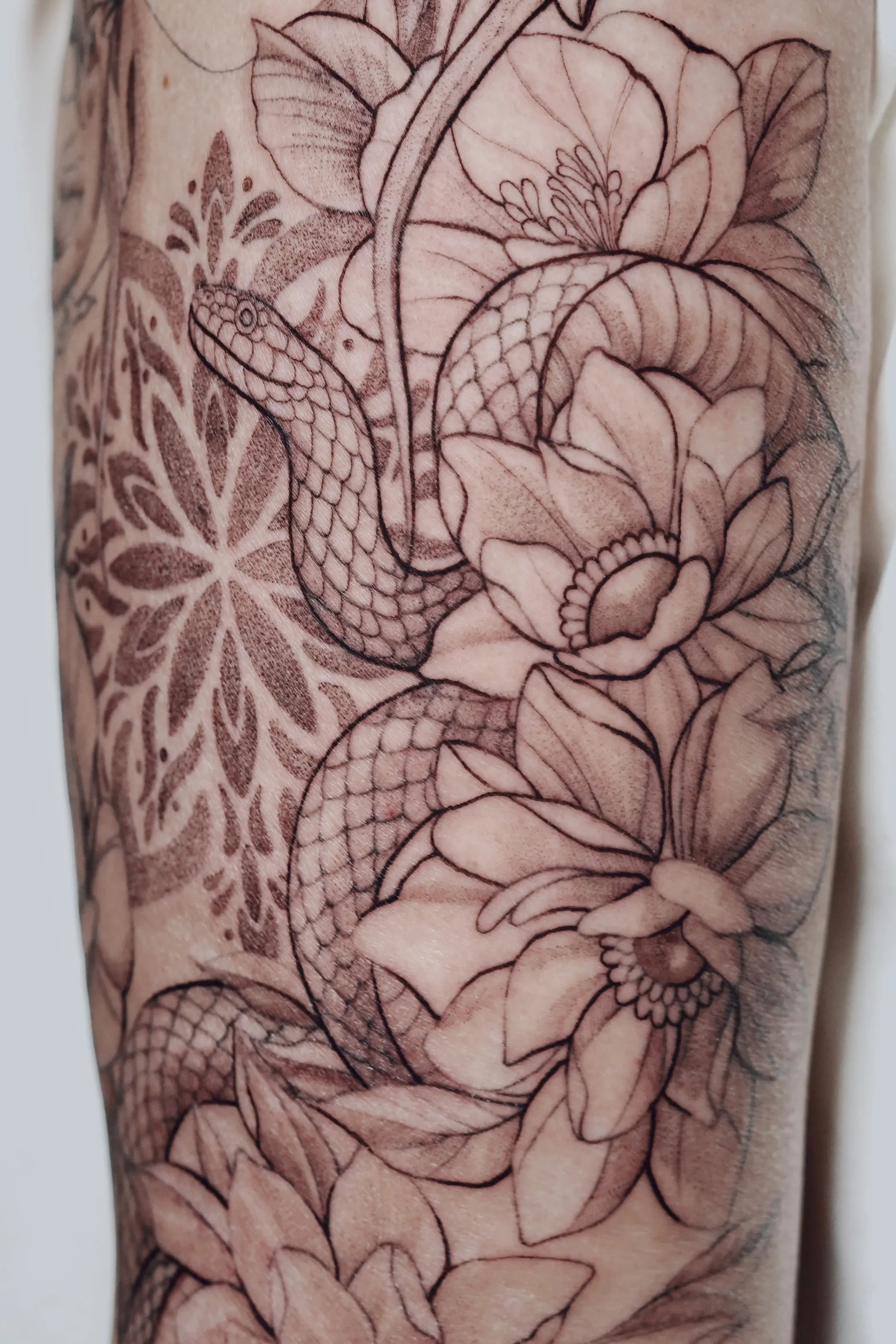 tattoo cover