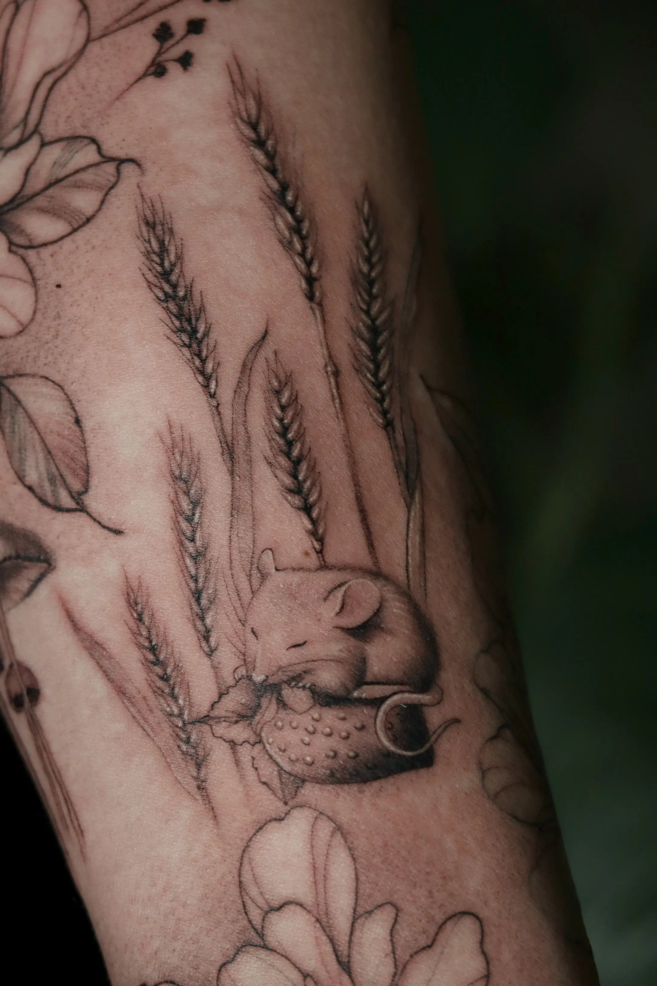 tattoo cover